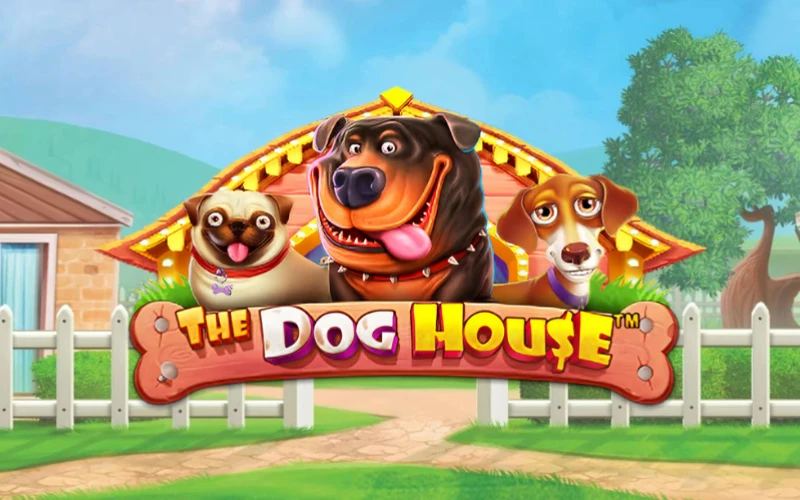 Gioca a The Dog House e vinci su WinWin.